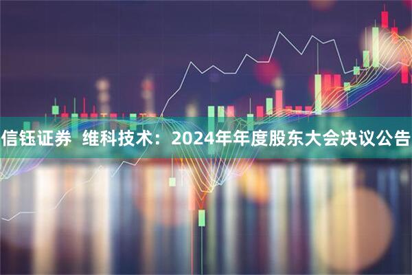信钰证券  维科技术：2024年年度股东大会决议公告