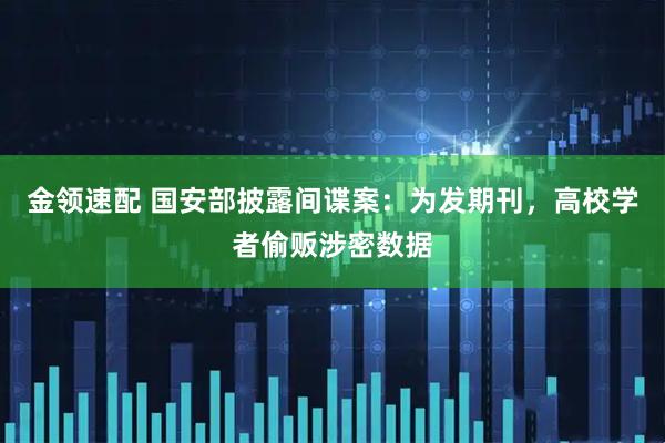 金领速配 国安部披露间谍案：为发期刊，高校学者偷贩涉密数据
