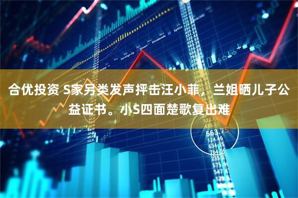 合优投资 S家另类发声抨击汪小菲，兰姐晒儿子公益证书。小S四面楚歌复出难