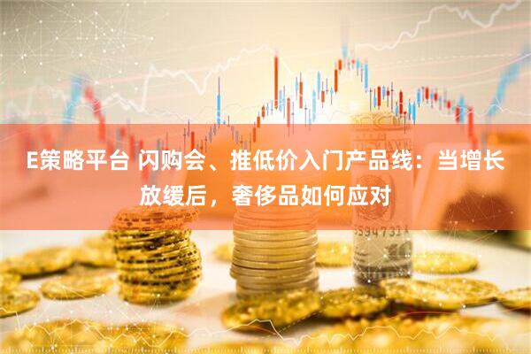 E策略平台 闪购会、推低价入门产品线：当增长放缓后，奢侈品如何应对