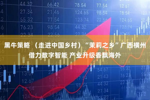 黑牛策略 （走进中国乡村）“茉莉之乡”广西横州借力数字智能 产业升级香飘海外