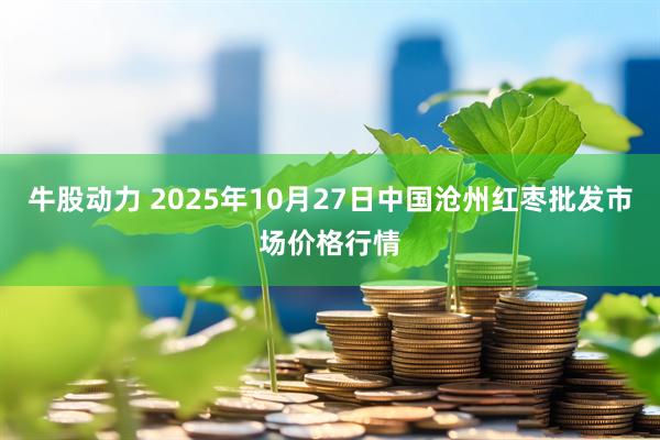 牛股动力 2025年10月27日中国沧州红枣批发市场价格行情