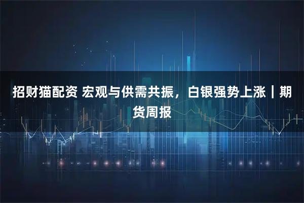 招财猫配资 宏观与供需共振，白银强势上涨｜期货周报