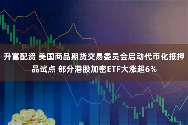 升富配资 美国商品期货交易委员会启动代币化抵押品试点 部分港股加密ETF大涨超6%